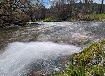 montana/lewistown/landmark/big-springs-trout-hatchery-park
