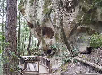 california/redwood-national-and-state-parks/landmark/el-corte-de-madera-creek-open-space-preserve