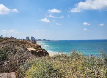 אפולוניה