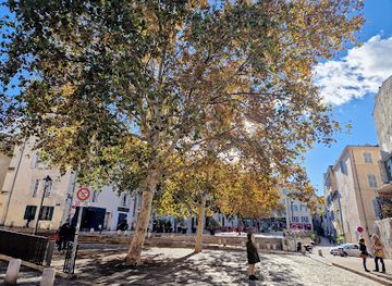 france/marseille/le-panier/landmark/place-de-la-charite