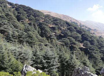 lebanon/al-shouf-cedar-nature/landmark/shouf-biosphere-reserve-maasser-cedar-forest