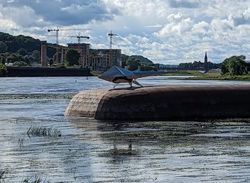 lithuania/kaunas-region/landmark/mitinis-kauno-zveris