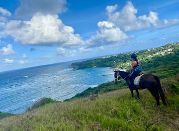 barbados/saint-john/landmark/ocean-echo-stables