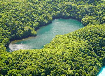 palau/melekeok/landmark/jellyfish-lake