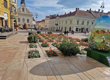 hungary/mecsek-mountains/landmark/ember-nagysagu-himes-tojas