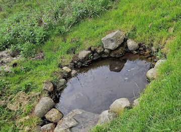 denmark/central-jutland/attraction/the-holy-source