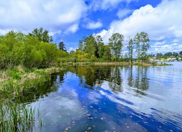 washington/kirkland/landmark/juanita-bay-park