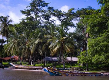 senegal/casamance/landmark/casamance-au-present