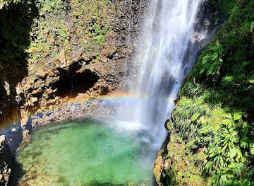 dominica/cabrits-national-park/landmark/middleham-falls-dominica