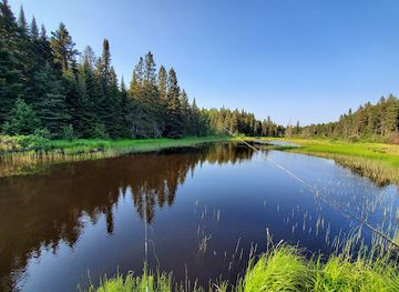 minnesota/superior-national-forest/landmark/finland-state-forest