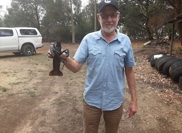 australia/kangaroo-island/landmark/kangaroo-island-marron-farm-gate-sales-live-marron-and-yabbies-only