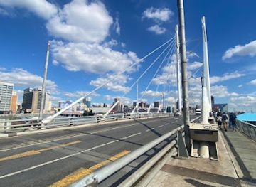 south-africa/johannesburg/landmark/nelson-mandela-bridge