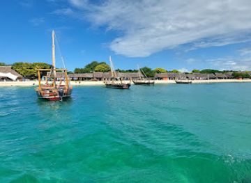 tanzania/zanzibar-archipelago/landmark/kwale-island