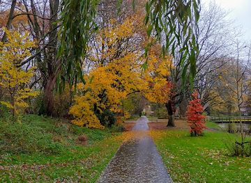 netherlands/west-friesland/landmark/risdammerhout