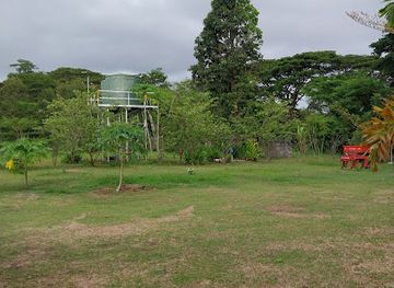 papua-new-guinea/port-moresby/landmark/dragonfly-agro-ltd