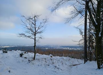 germany/taunus/landmark/heidetrank-oppidum
