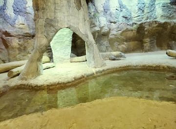 tennessee/rock-city/landmark/the-chattanooga-zoo-at-warner-park