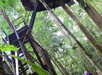 colombia/amazon/landmark/tanimboca