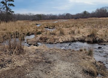 new-york/long-island/landmark/westbrook-1886