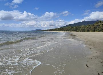 australia/cape-tribulation/landmark/jordan-blockey-cape-trib-tour-guide