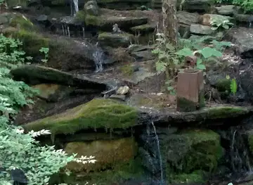 Nathan's Garden