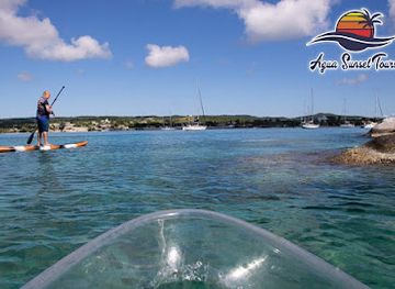 puerto-rico/vieques-island/landmark/aqua-sunset-tours-bio-bay