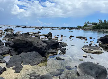 Rocks at Sea