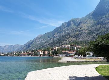 montenegro/bay-of-kotor/landmark/kotor-cats-museum