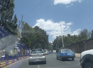 ethiopia/addis-ababa/landmark/national-palace-gate-3