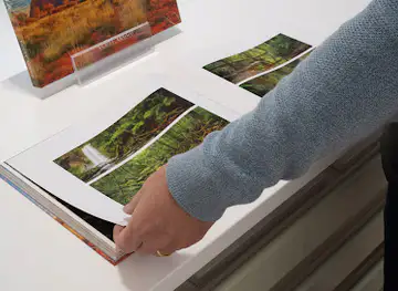 Scott Leggo Gallery