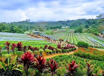 philippines/davao-city/landmark/bemwa-farm
