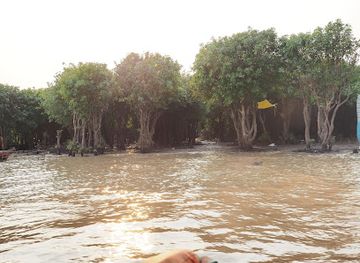 cambodia/takeo/landmark/tonle-sap-biosphere-reserve