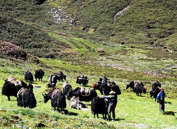 bhutan/eastern-bhutan/landmark/jomolhari-trek
