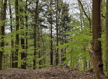 poland/sopot/landmark/uciecha-goullona