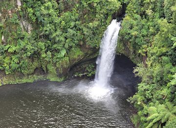 new-zealand/bay-of-plenty/landmark/omanawa-falls