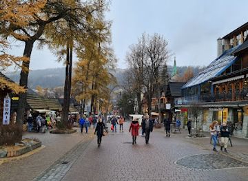 poland/zakopane/landmark/zakopianskie-krupowki