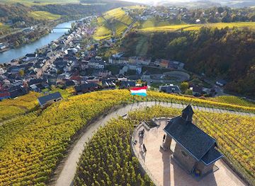 luxembourg/remich/landmark/visit-moselle-ort-region-moselle-luxembourgeoise