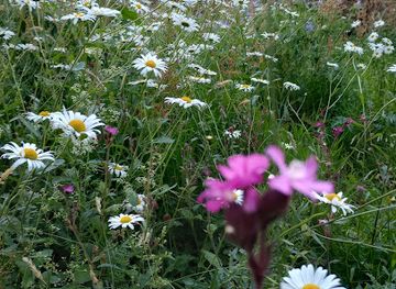 united-kingdom/greater-london/landmark/london-city-wall