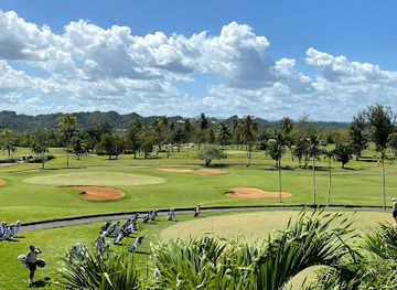 puerto-rico/dorado/landmark/melao-by-mario-pagan