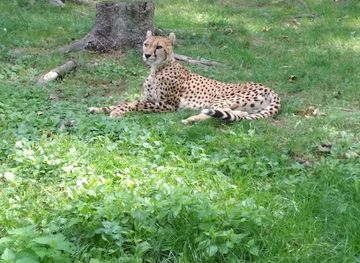 czechia/svaty-kopecek/landmark/the-pavilion-of-monkeys-pygmy-hippopotamus-and-bears-malaysian