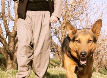 tuvalu/fongafale/landmark/tepuka