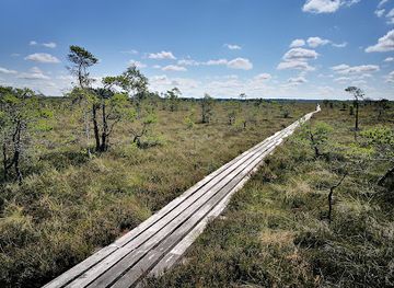 latvia/courland/landmark/dunika-bog