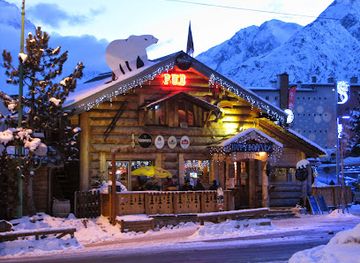 france/les-deux-alpes/landmark/polar-bear-pub