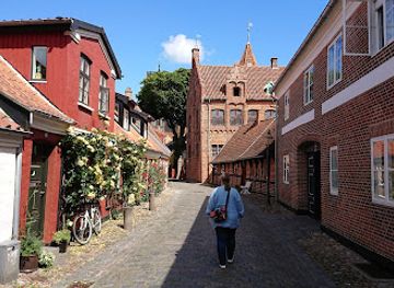 denmark/ribe/landmark/taarnborg
