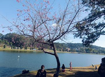 vietnam/dalat/landmark/city-sightseeing-dalat-vietnam-sightseeing