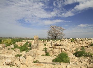 israel/shephelah/landmark/tell-batash