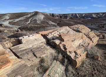 arizona/petrified-forest-national-park/landmark/crystal-forest