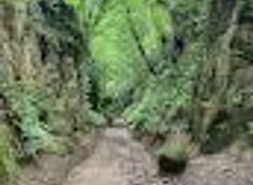 united-kingdom/dorset/landmark/shute-s-lane