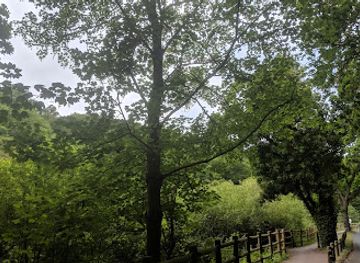 jersey/saint-ouen/landmark/tesson-mill