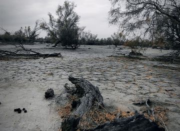 kazakhstan/lake-balkhash-region/landmark/ile-balkhash